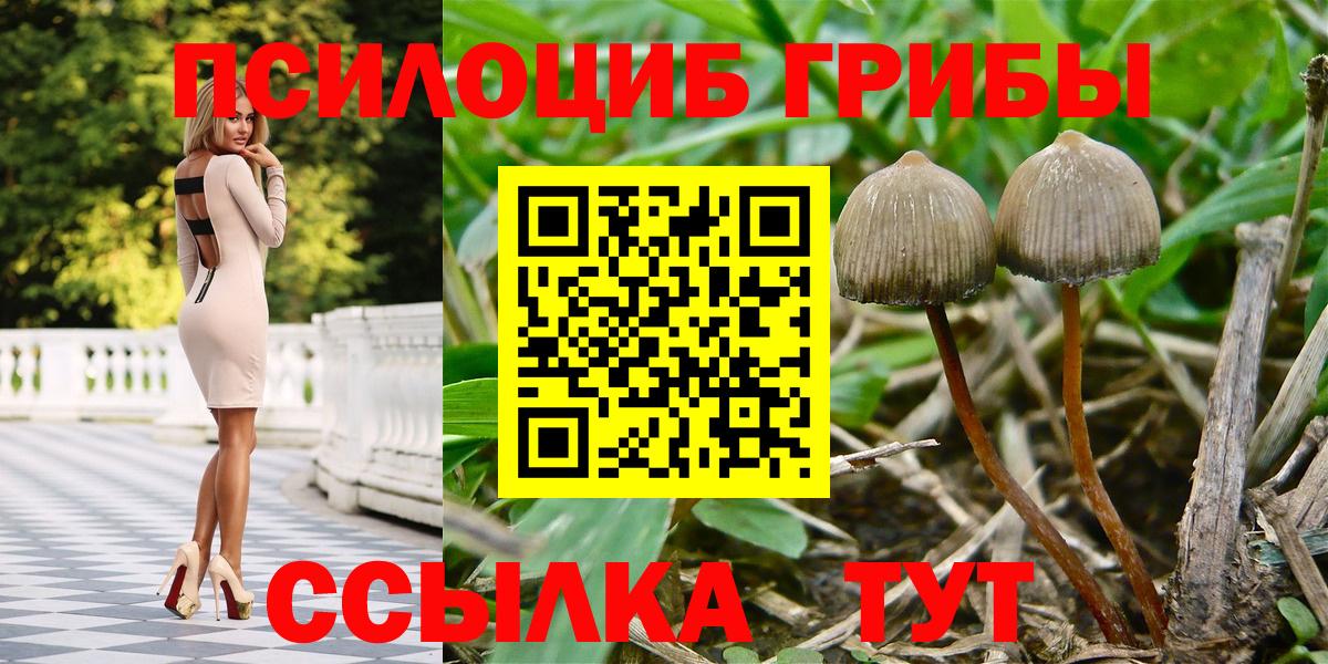 Псилоцибиновые грибы Magic Shrooms  Вход с VPN  Галлюциногенные грибы MAGIC MUSHROOMS  Петропавловск-Камчатский 